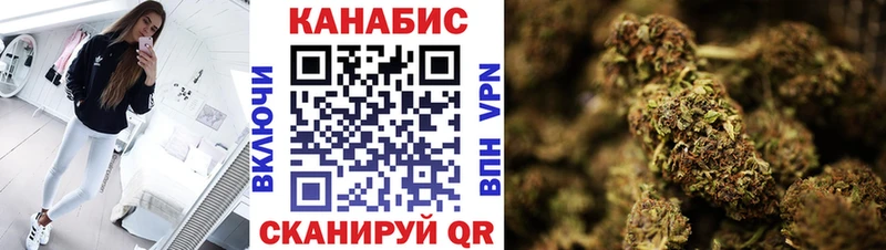 Как найти наркотики Петропавловск-Камчатский Alpha-PVP  Каннабис  Псилоцибиновые грибы  АМФ  ГАШИШ  МЕФ 