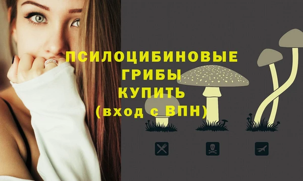 экстази Богданович
