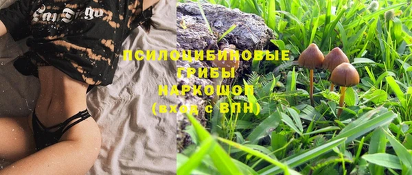 экстази Богданович