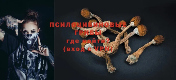 экстази Богданович