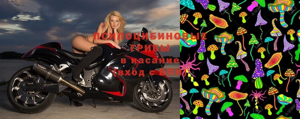 экстази Богданович