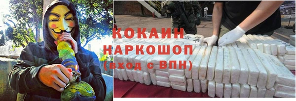 экстази Богданович