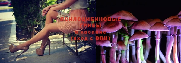 экстази Богданович
