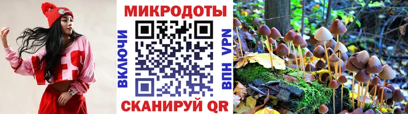 купить   Петропавловск-Камчатский  Галлюциногенные грибы Magic Shrooms 